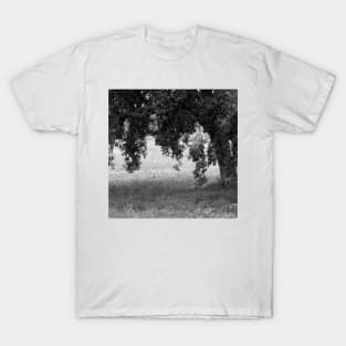 Cork Oak Tree Forest 2 T-Shirt